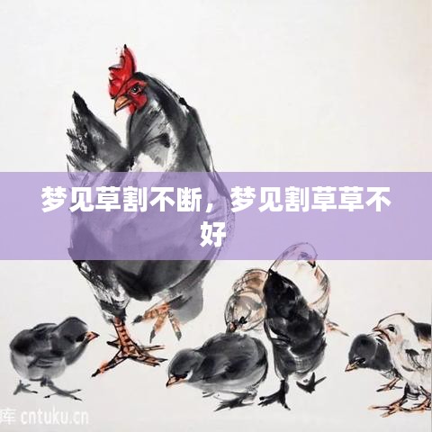 梦见草割不断，梦见割草草不好 