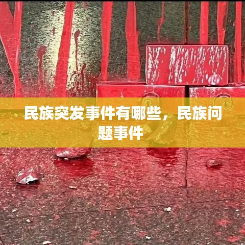 民族突发事件有哪些，民族问题事件 