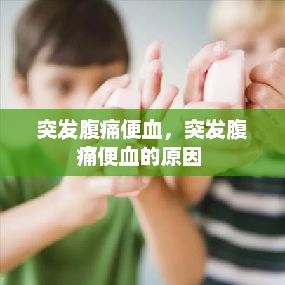 突发腹痛便血，突发腹痛便血的原因 