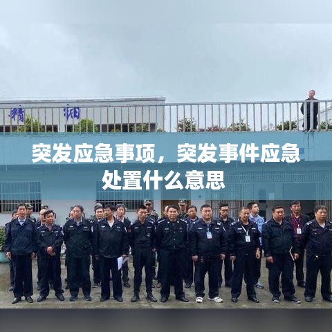 突发应急事项，突发事件应急处置什么意思 