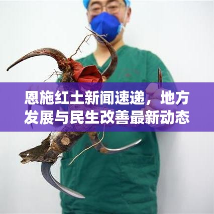 恩施红土新闻速递，地方发展与民生改善最新动态报道
