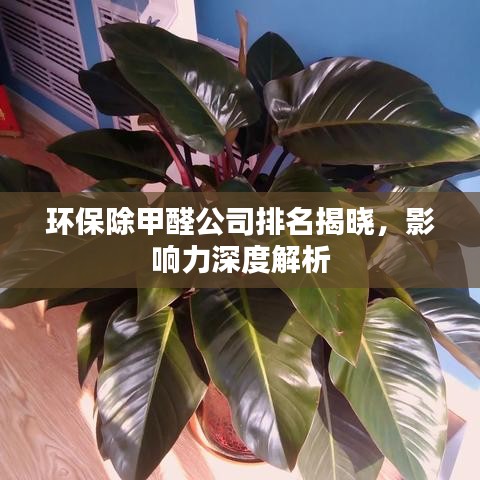 环保除甲醛公司排名揭晓，影响力深度解析