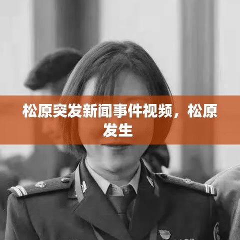 关于我们 第106页