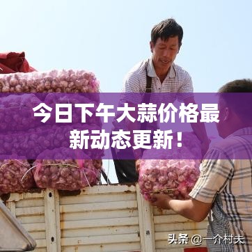 今日下午大蒜价格最新动态更新！