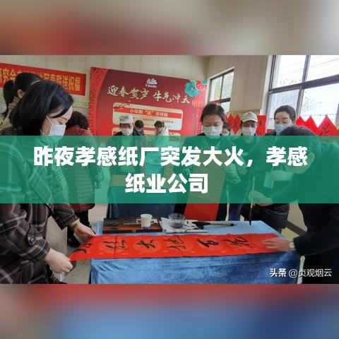 昨夜孝感纸厂突发大火，孝感纸业公司 