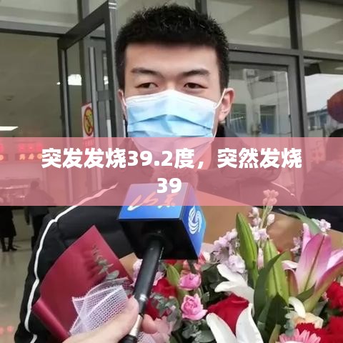 远山芙蓉 第4页