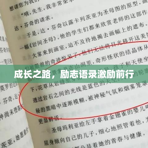 随圆就方 第4页
