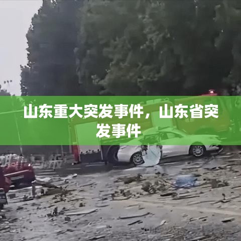 山东重大突发事件，山东省突发事件 