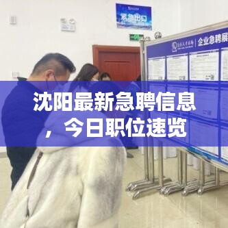 沈阳最新急聘信息，今日职位速览