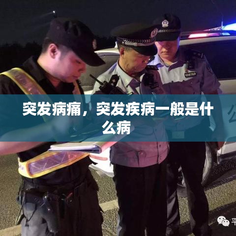 美式台球桌 第101页