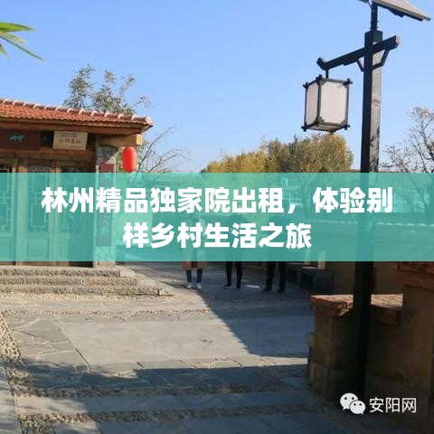 林州精品独家院出租，体验别样乡村生活之旅