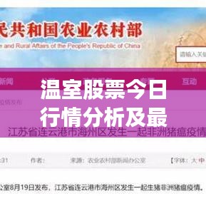 温室股票今日行情分析及最新走势解读