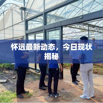 衣无二彩 第4页