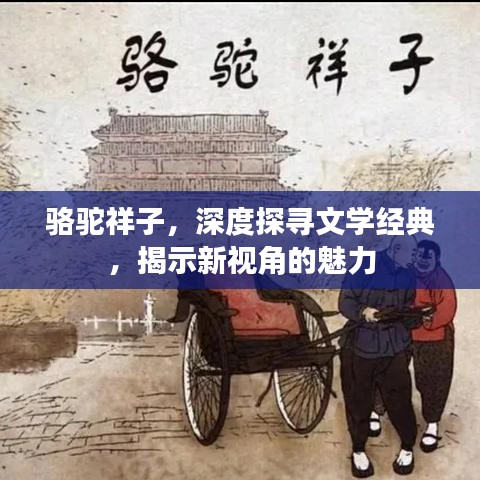 骆驼祥子，深度探寻文学经典，揭示新视角的魅力