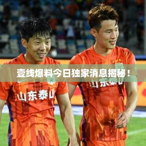 壹线爆料今日独家消息揭秘！