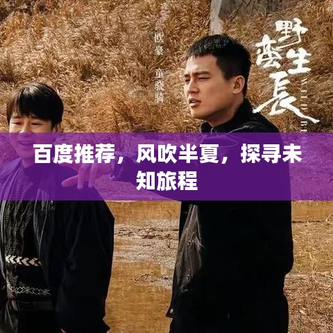 百度推荐，风吹半夏，探寻未知旅程
