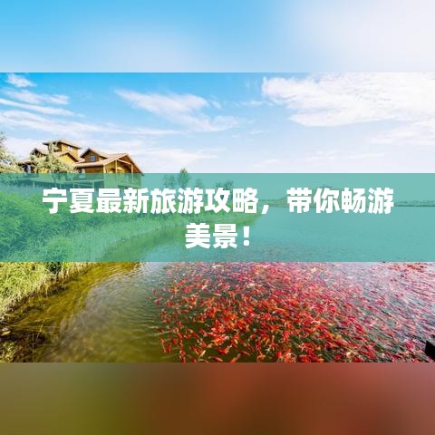 宁夏最新旅游攻略，带你畅游美景！