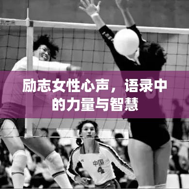 林下风气 第4页