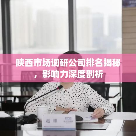 陕西市场调研公司排名揭秘，影响力深度剖析