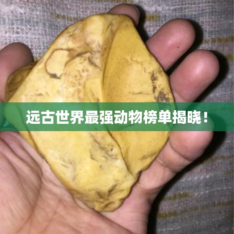 都中纸贵 第4页