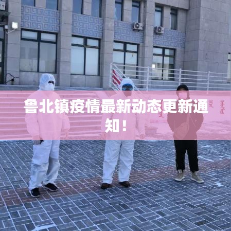 鲁北镇疫情最新动态更新通知！