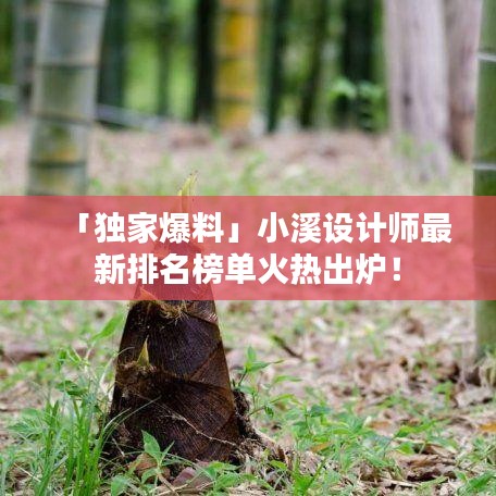 「独家爆料」小溪设计师最新排名榜单火热出炉！