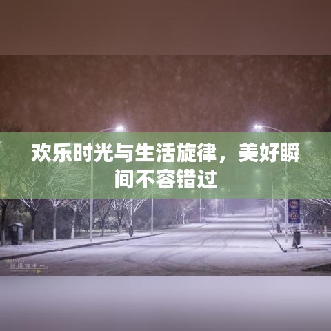 欢乐时光与生活旋律，美好瞬间不容错过