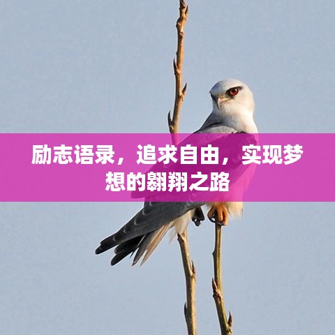 落落大方 第3页