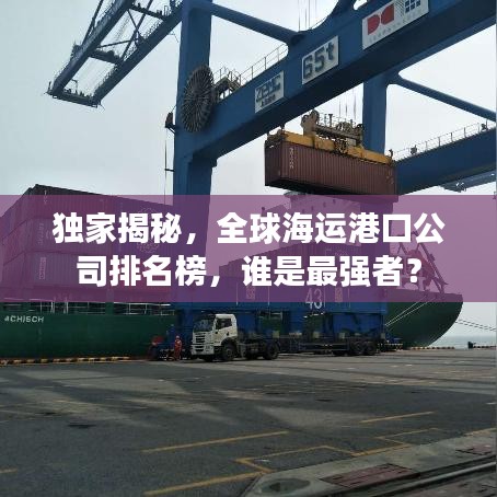 独家揭秘，全球海运港口公司排名榜，谁是最强者？