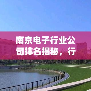 南京电子行业公司排名揭秘，行业深度分析与前景展望！