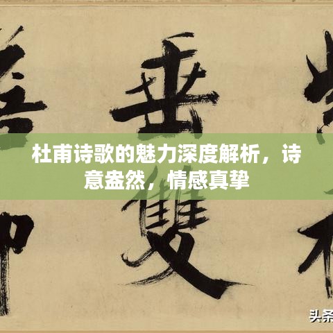 杜甫诗歌的魅力深度解析，诗意盎然，情感真挚