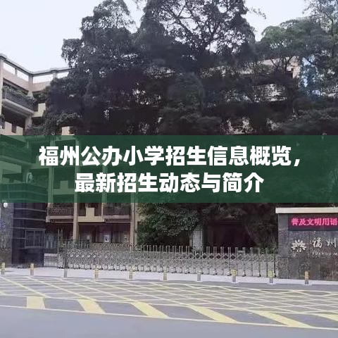 福州公办小学招生信息概览，最新招生动态与简介