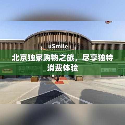 雅人清致 第3页