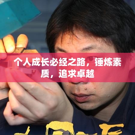 个人成长必经之路，锤炼素质，追求卓越