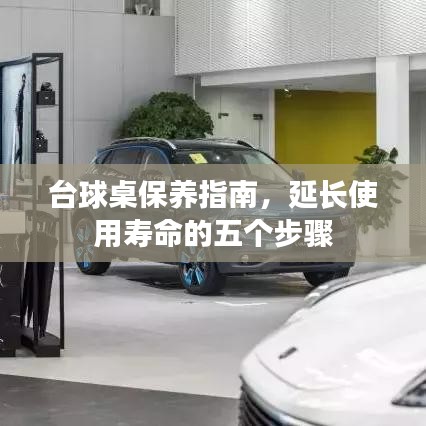 台球桌保养秘籍，五步延长使用寿命指南