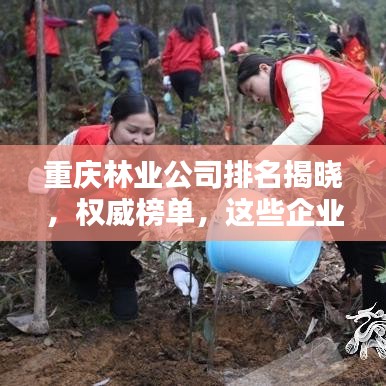 重庆林业公司排名揭晓，权威榜单，这些企业领跑行业！