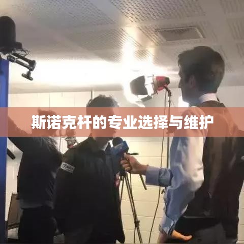 斯诺克杆，专业挑选与保养之道