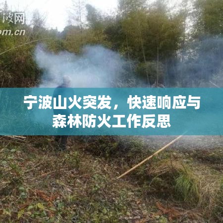 鸡飞狗跳 第4页