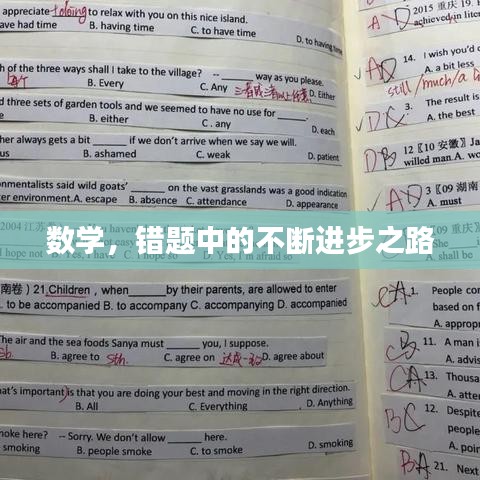 一本正经 第4页
