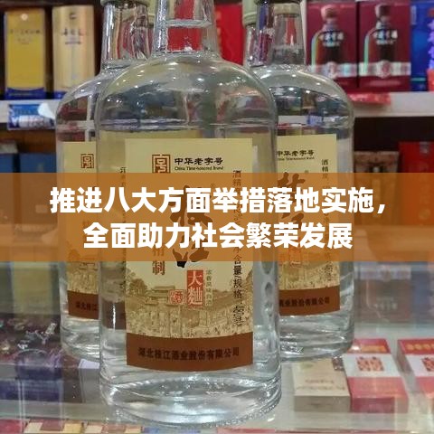 推进八大方面举措落地实施，全面助力社会繁荣发展