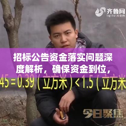 招标公告资金落实问题深度解析，确保资金到位，助力项目顺利进行