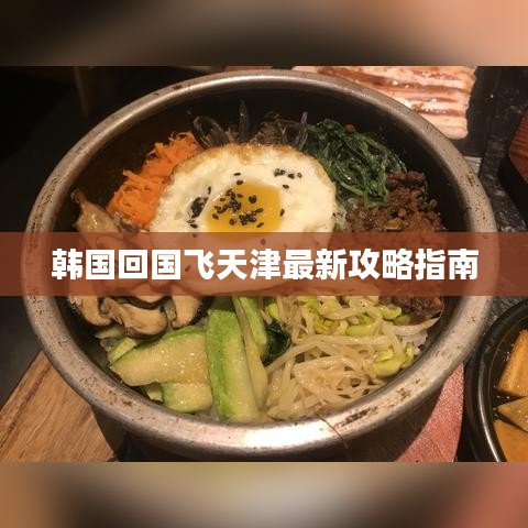 韩国回国飞天津最新攻略指南