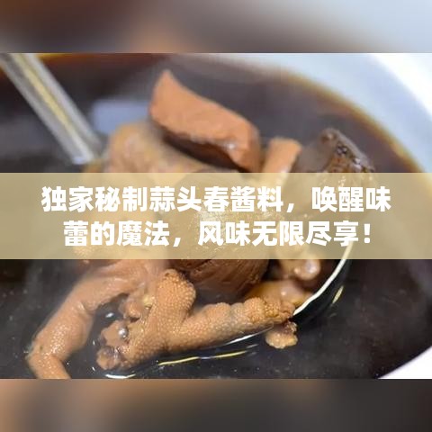 独家秘制蒜头春酱料，唤醒味蕾的魔法，风味无限尽享！