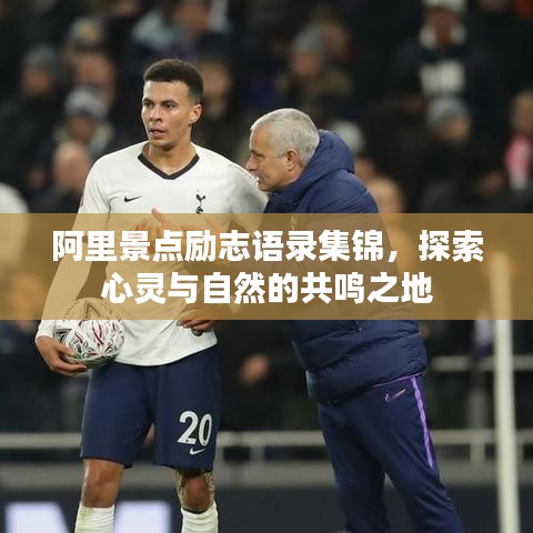 棒打出头鸟 第3页