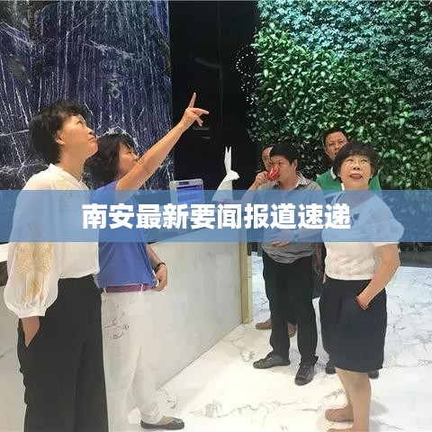 南安最新要闻报道速递