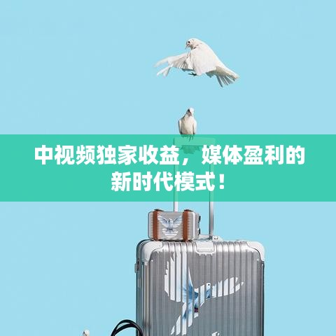 中视频独家收益，媒体盈利的新时代模式！