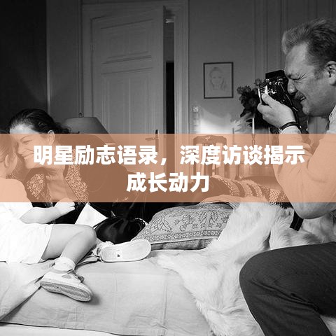 明星励志语录，深度访谈揭示成长动力