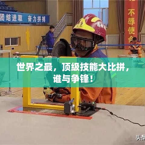 世界之最，顶级技能大比拼，谁与争锋！