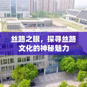 丝路之眼，探寻丝路文化的神秘魅力