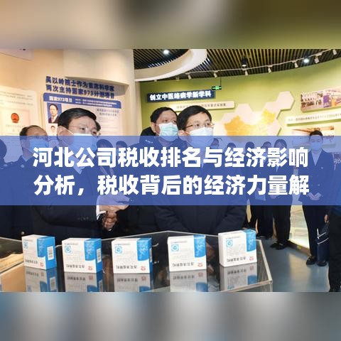 河北公司税收排名与经济影响分析，税收背后的经济力量解读